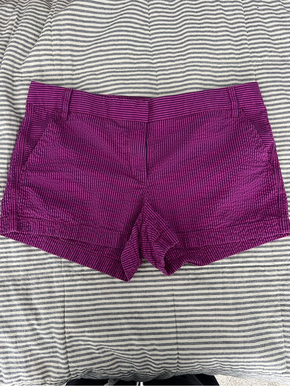 J.Crew Pink Purple Striped Chino Shorts Preppy Coastal